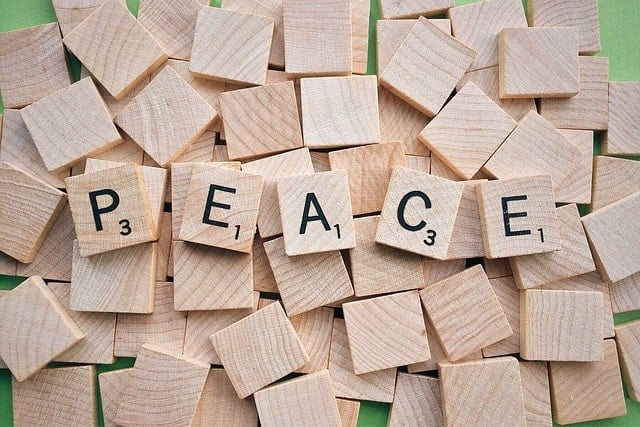 Read more about the article Why is Peace so important?